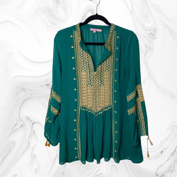 Calypso St Barth Green Zandy Embroidered Silk Top - Picture 3 of 6